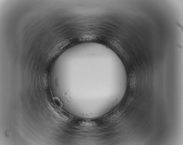 X0000100380455200806201654