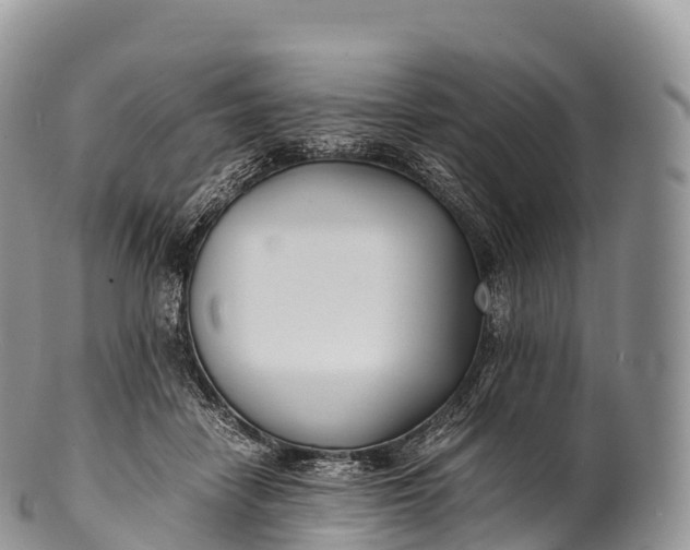 X0000100380458200806201654