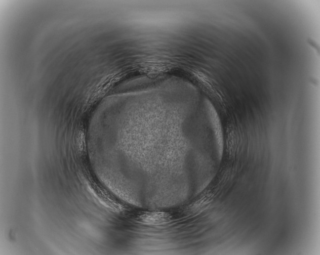 X0000100380459200806201654