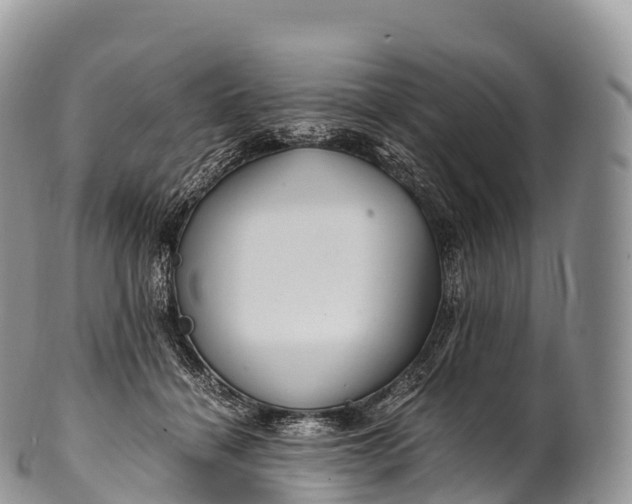 X0000100380460200806201654