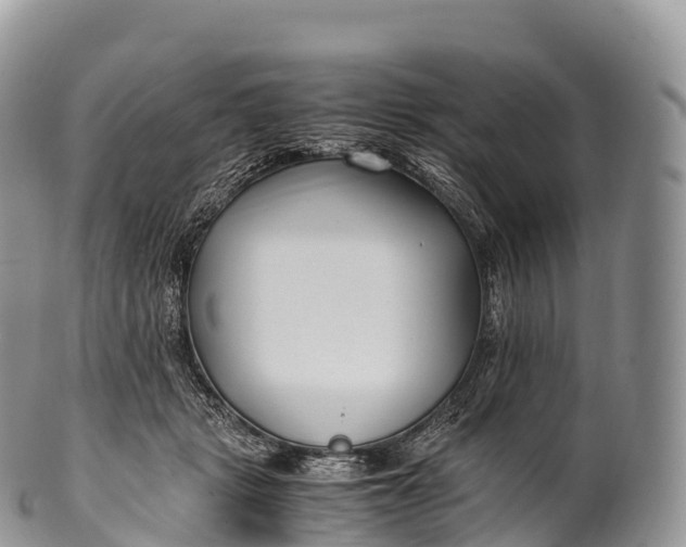 X0000100380461200806201654