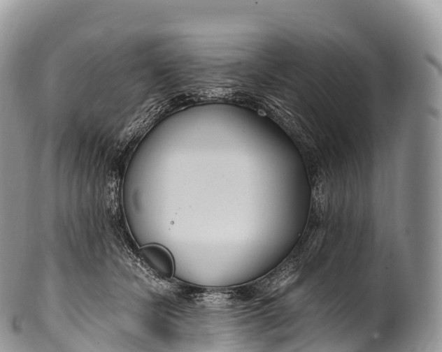 X0000100380462200806201654