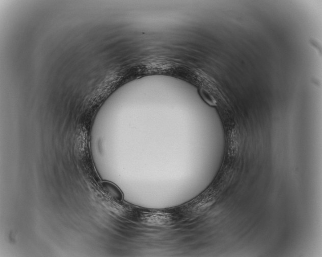 X0000100380463200806201654