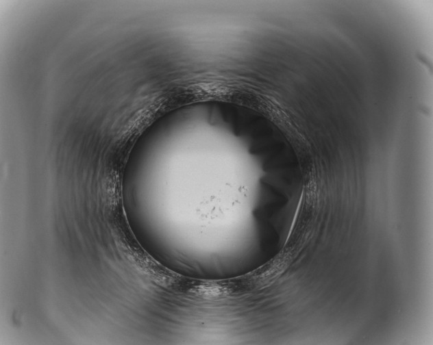 X0000100380464200806201654