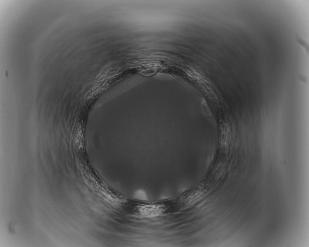 X0000100380465200806201654