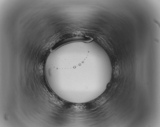 X0000100380466200806201654