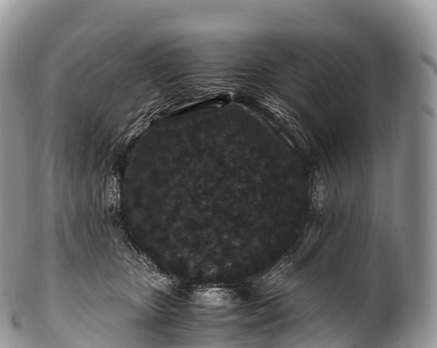 X0000100380467200806201654