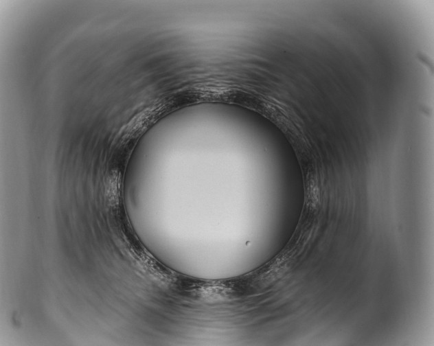 X0000100380468200806201654