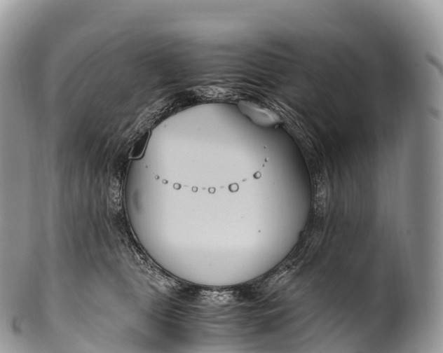 X0000100380469200806201654