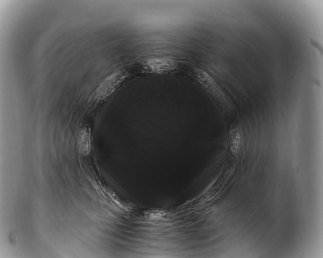 X0000100380471200806201654