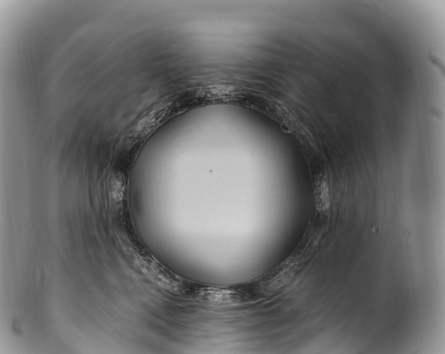 X0000100380472200806201654