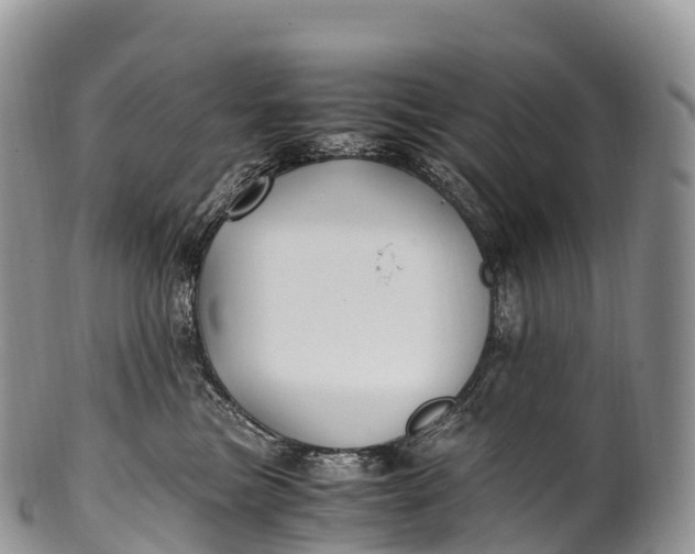 X0000100380473200806201654