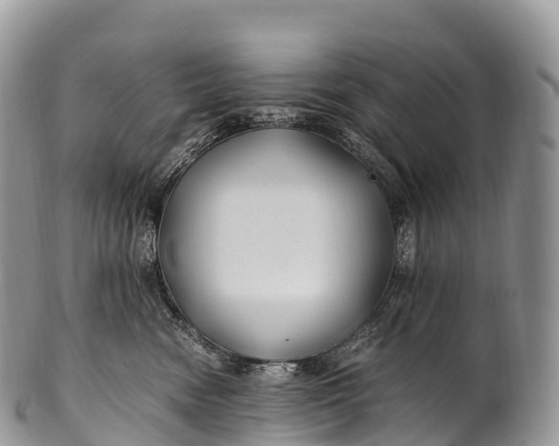 X0000100380474200806201654