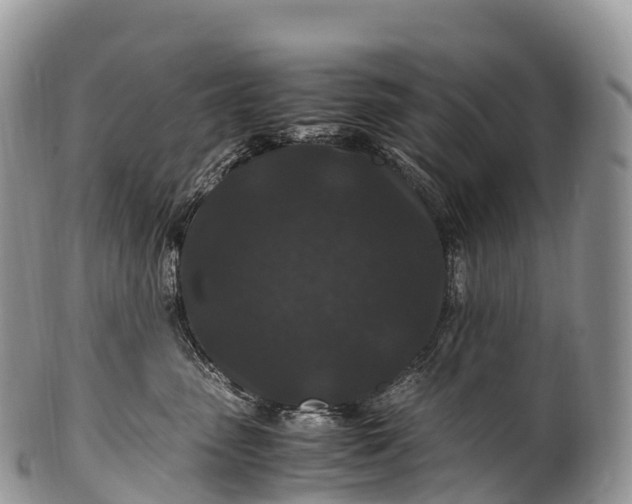 X0000100380475200806201654