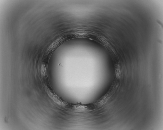 X0000100380476200806201654
