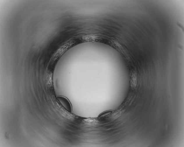 X0000100380477200806201654