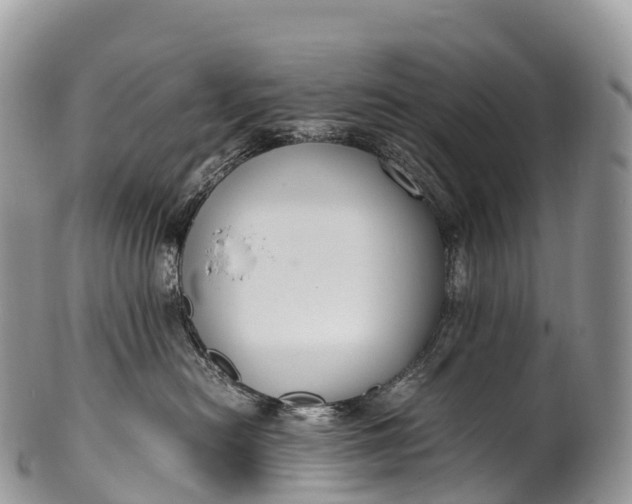 X0000100380478200806201654