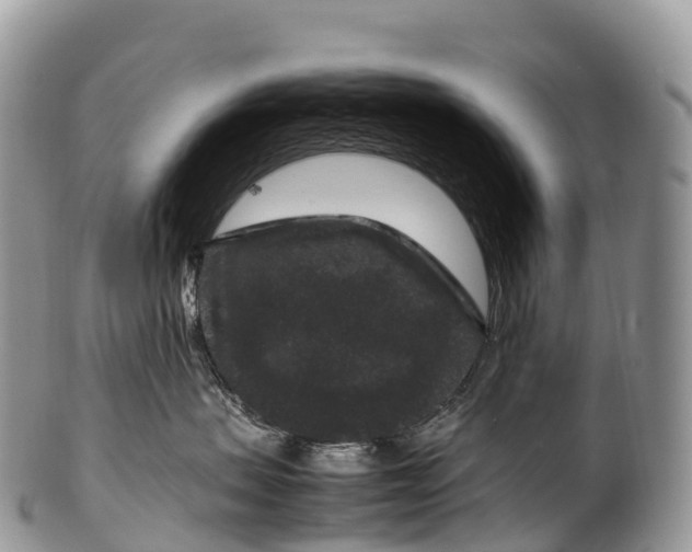X0000100380479200806201654