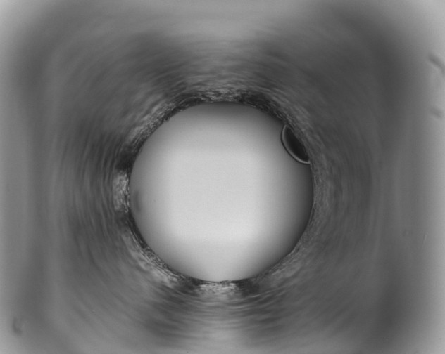 X0000100380480200806201654
