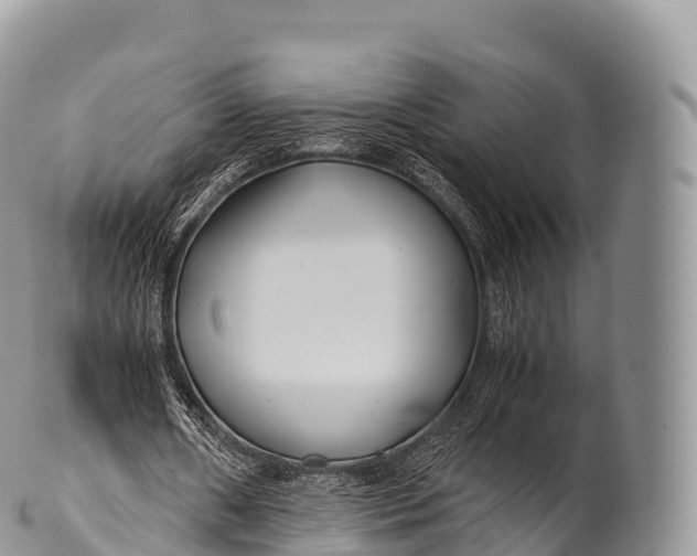 X0000100380482200806201654