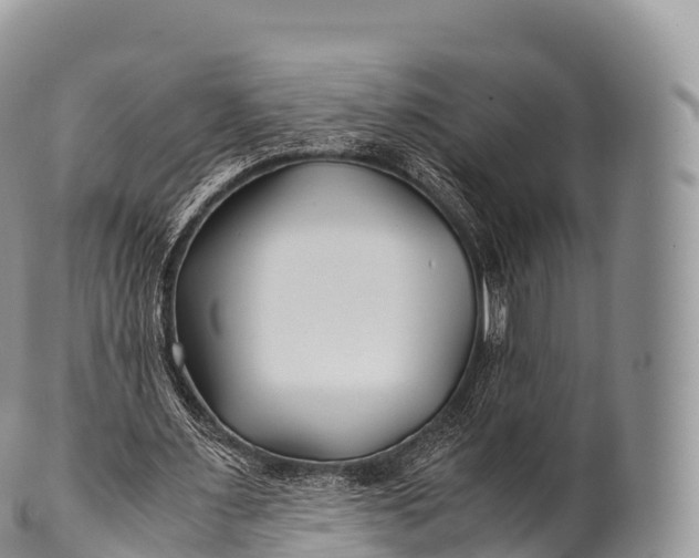X0000100380483200806201654