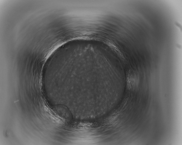 X0000100380484200806201654