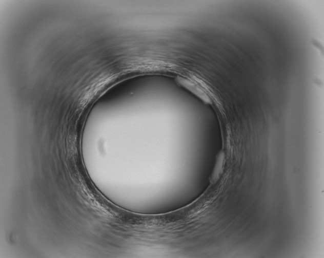 X0000100380485200806201654