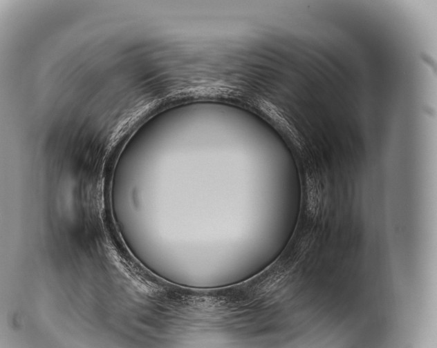 X0000100380486200806201654