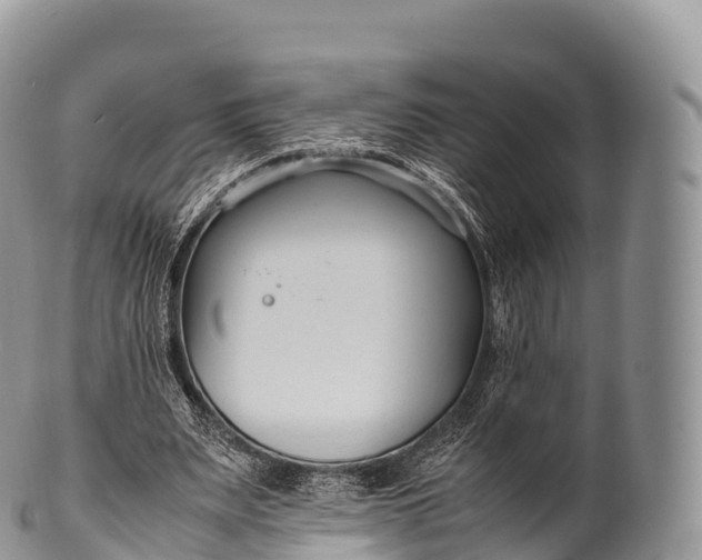 X0000100380487200806201654