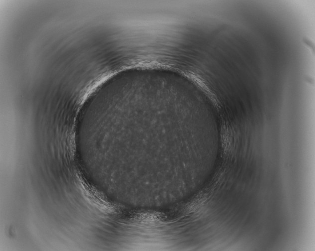 X0000100380488200806201654