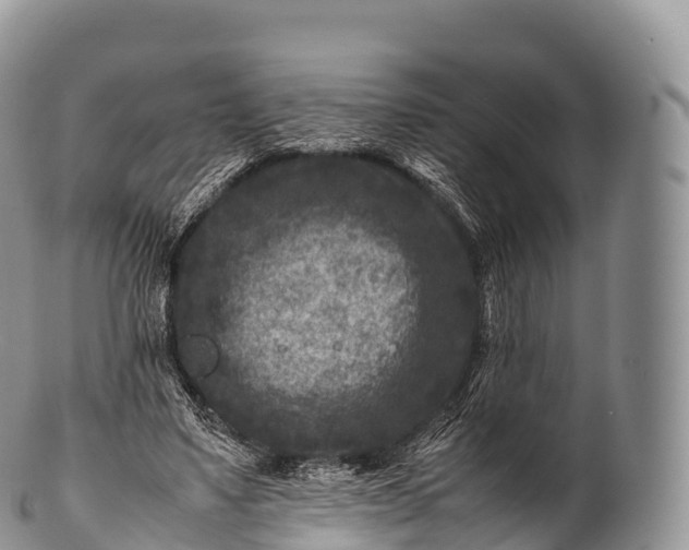 X0000100380491200806201654