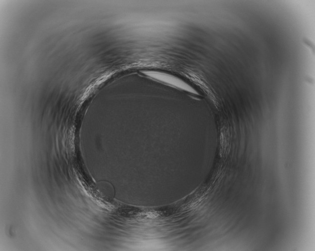 X0000100380492200806201654