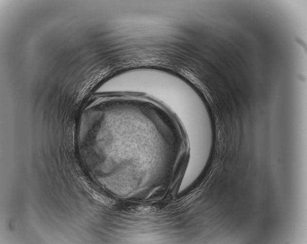 X0000100380493200806201654
