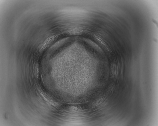 X0000100380494200806201654