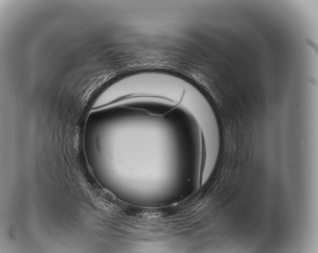 X0000100380495200806201654