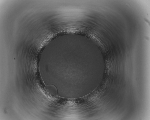 X0000100380496200806201653