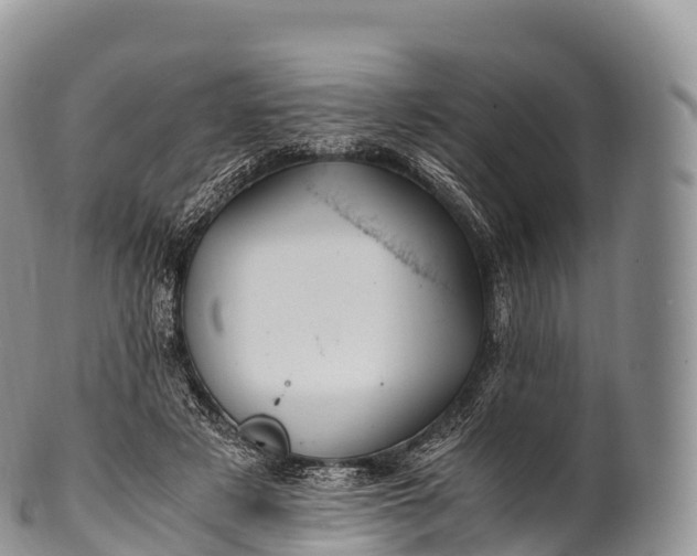 X0000100380497200806201653