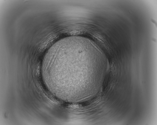 X0000100380499200806201653
