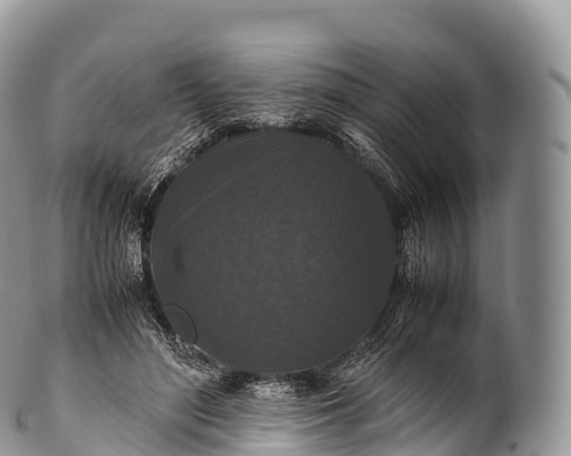 X0000100380500200806201653