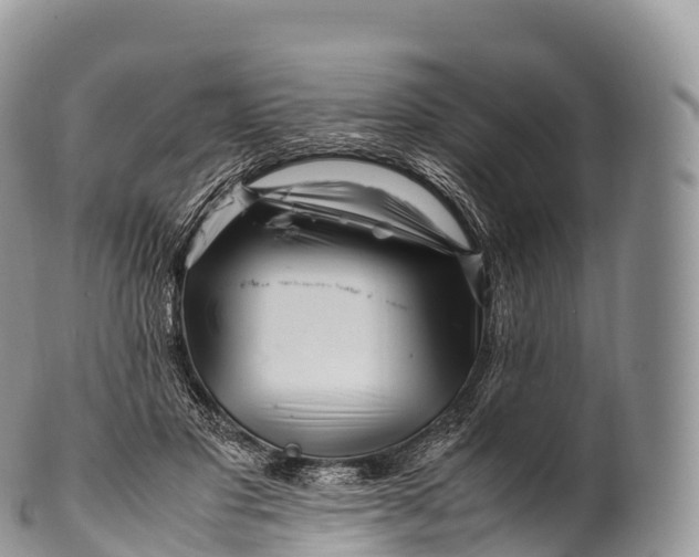 X0000100380501200806201653