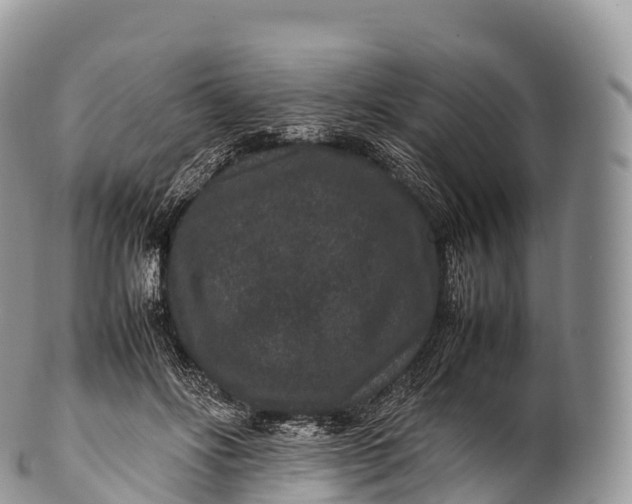 X0000100380502200806201653