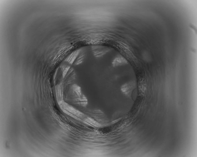 X0000100380503200806201653