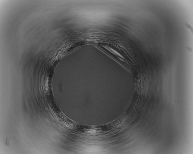 X0000100380504200806201653