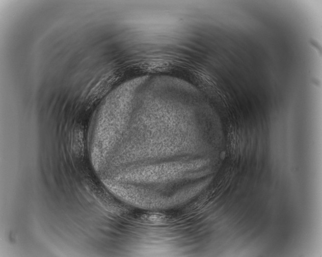 X0000100380506200806201653