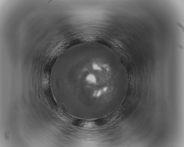 X0000100380507200806201653
