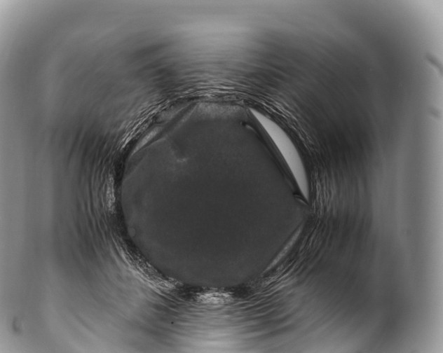 X0000100380508200806201653