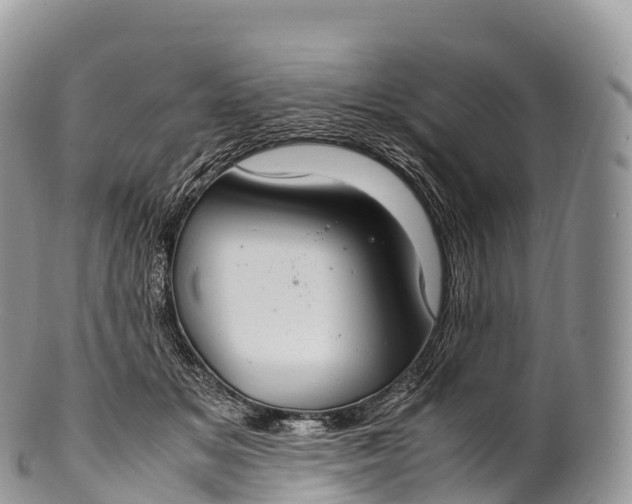 X0000100380509200806201653