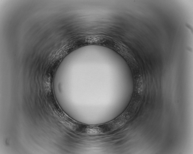 X0000100380510200806201653
