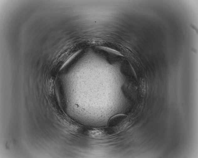 X0000100380511200806201653