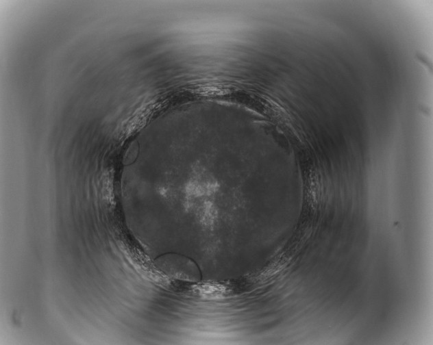 X0000100380512200806201653